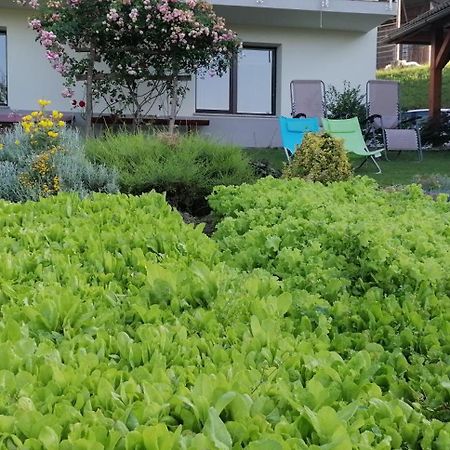 Apartma Na Ravnicah Cerkno Exterior photo