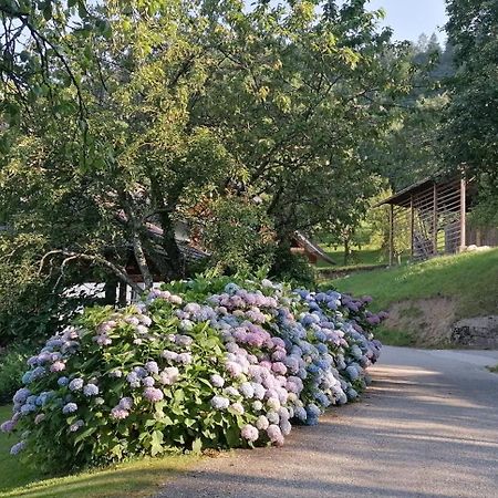 Apartma Na Ravnicah Cerkno Exterior photo